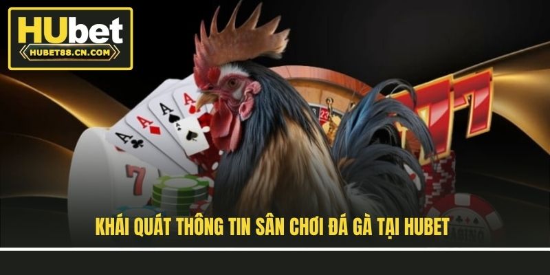 Khái quát thông tin sân chơi đá gà tại Hubet Khái quát thông tin sân chơi đá gà tại Hubet