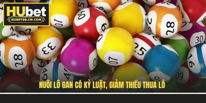 Nuôi lô gan có kỷ luật, giảm thiểu thua lỗ